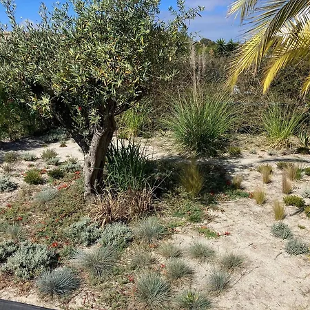 Villa Charming 3-bedroom With Private Pool In Bidos Óbidos